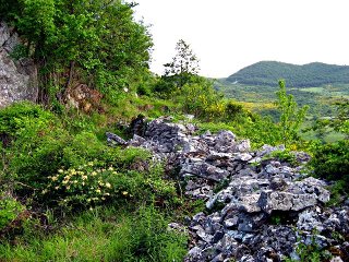 Ruderi di una neviera di Sant'Andrea di Conza