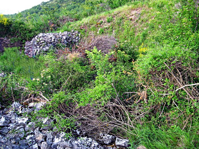 Ruderi di una neviera di Sant'Andrea di Conza (2)