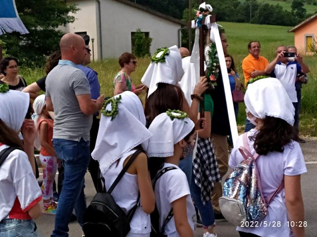 Corone di uva spina su alcune "Maggiaiole"