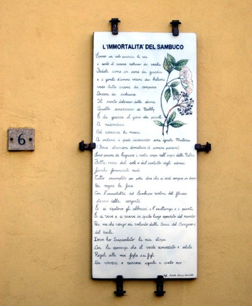 Lapide della poesia dedicata al Sambuco