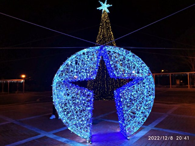 Stella e albero in Piazza Aldo Moro