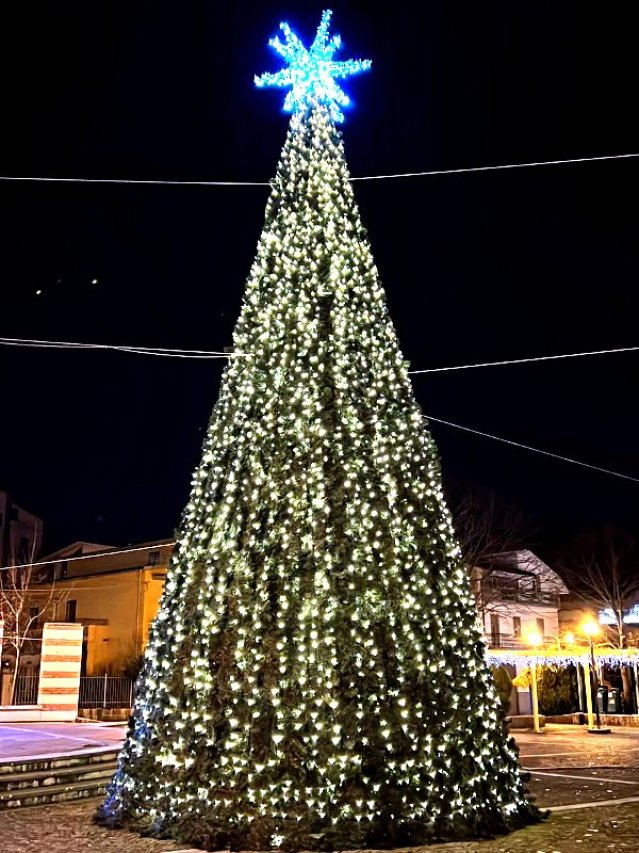 Albero di Natale in Piazza Aldo Moro